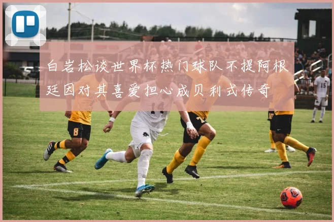 白岩松谈世界杯热门球队不提阿根廷因对其喜爱担心成贝利式传奇
